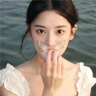功夫无敌